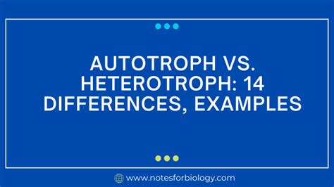 Autotroph vs Heterotroph: 14 Differences, Examples