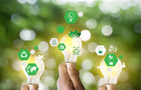 How To Conduct A Sustainability Audit Of Your Company Insights Arowana