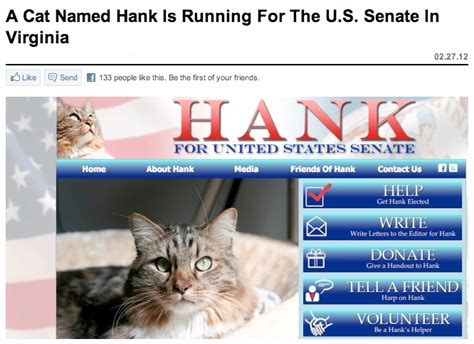 This Is Real A Cat Named Hank Is Running For Senate In Virginia He Has His Own Website And