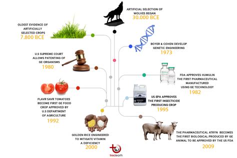 Tiredearth | The Birth of Modern Genetic Modification (1)