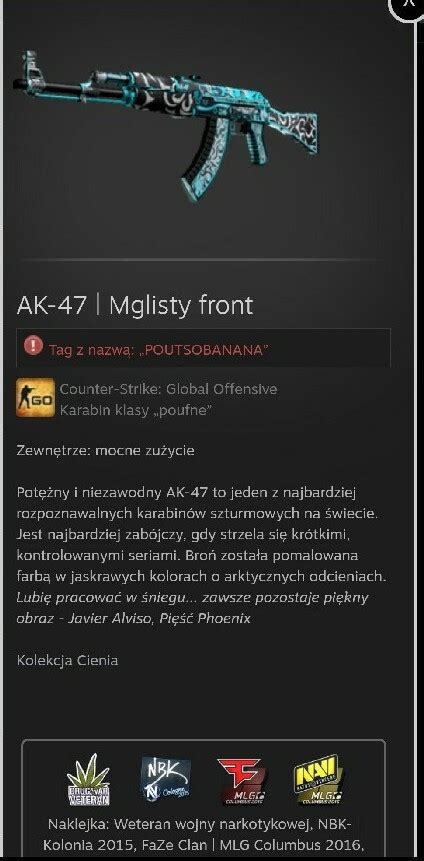 Ak Mglisty Front Skiny Cs Go Counter Strike Warszawa Kup Teraz