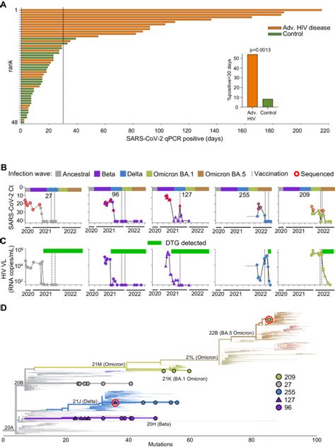 Clearance Of Persistent Sars Cov Associates With Increased