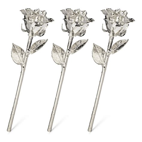 Silver Dipped Roses The Forever Rose