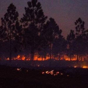 Explosión De Rápido Incendio Forestal En Las Montañas Del Este De Cuba