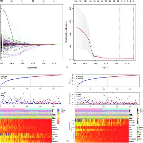 Construction And Validation Of Gene Signature Risk Score Model A