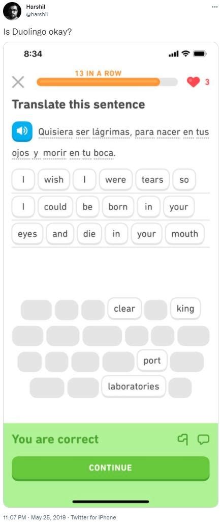 Is Duolingo Okay Strange Duolingo Sentences Know Your Meme