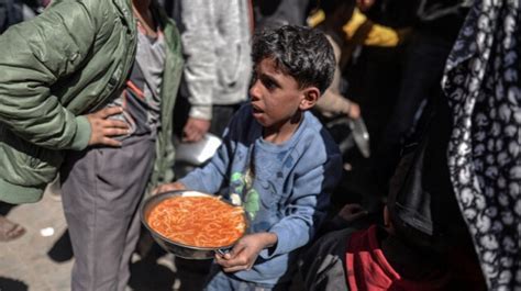 La Bande De Gaza Subit Une Crise Alimentaire D Vastatrice Alors Que Le