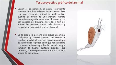 Factores Psicosociales En Los Trastornos De La Personalidad Ppt