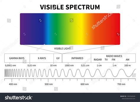 Visible Light Diagram Color Electromagnetic Spectrum Stock Vector ...