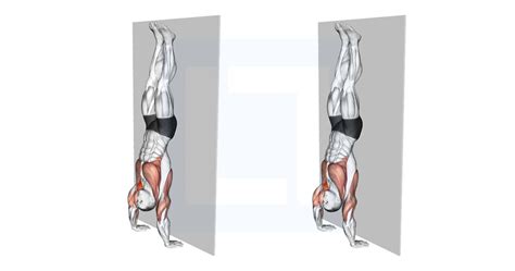 Handstand Hold On Wall Guide Benefits And Form