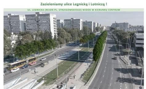 Przybywa Nowych Drzew Przy Ulicach Legnickiej I Lotniczej Cznie