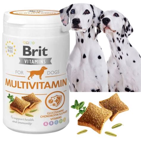 BRIT MULTIVITAMIN Kompleks Witamin Dla Psa 150g 14102921135 Allegro Pl