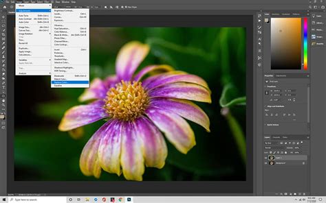 Easy Steps For How To Change The Color Of Something In Photoshop