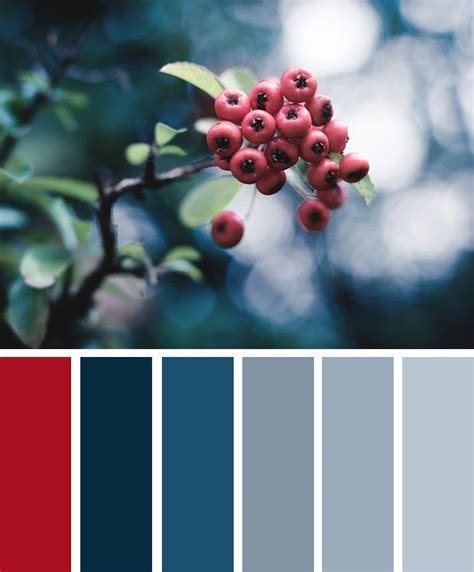 Berry Blue And Grey Color Palette Color Inspiration Room Colors Wall