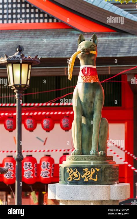 Kyoto Japan Fox Statue With Japanese Traditional Red Lanterns At