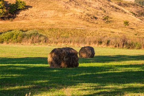 Golden Hay Bales Agricultural Parcels Of Different Crops And Hay Roll