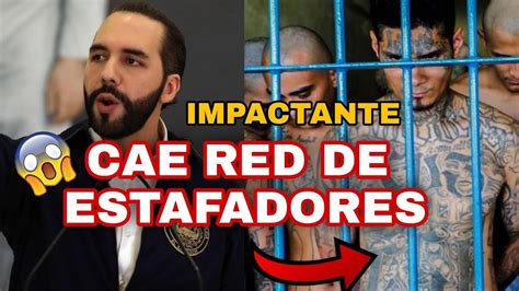 Impactante Cae Red De Estafadores En El R Gimen De Nayib Bukele Youtube