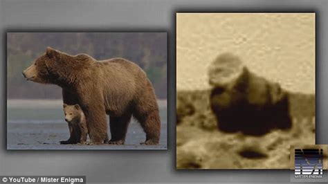 Gorillas On Mars Rock Shaped Like A Giant Ape Joins The Zoo Full Of