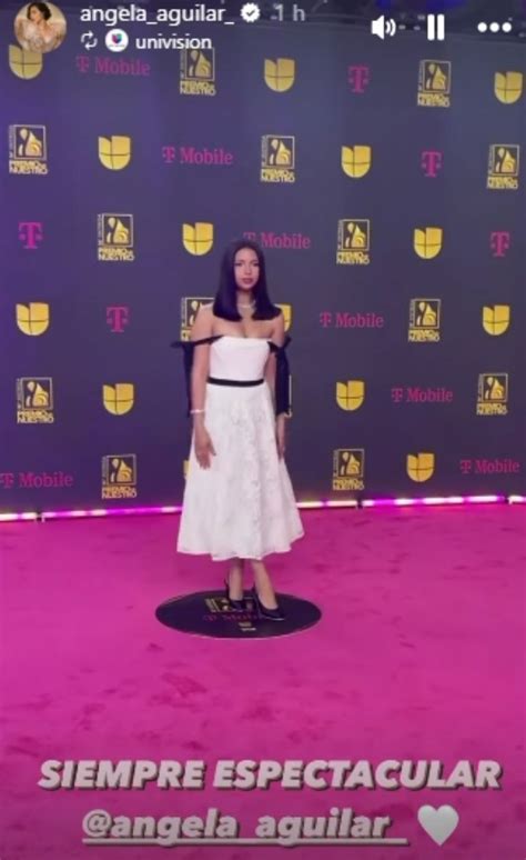 Las Estrellas Latinas Que Brillaron En La Alfombra De Los Premios Lo