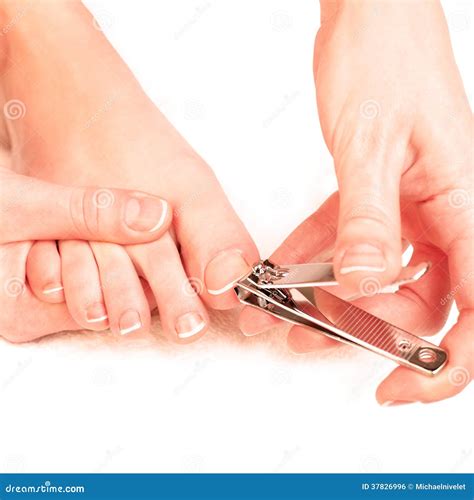 Woman Cutting Toenails Stock Photo Image Of Cutting 37826996