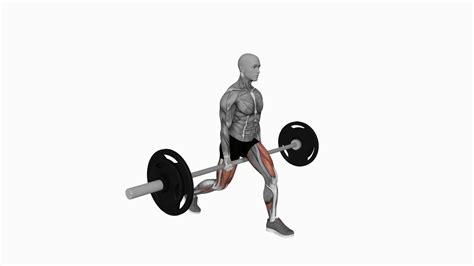 Mastering The Barbell Jefferson Squat Your Ultimate Guide To Form