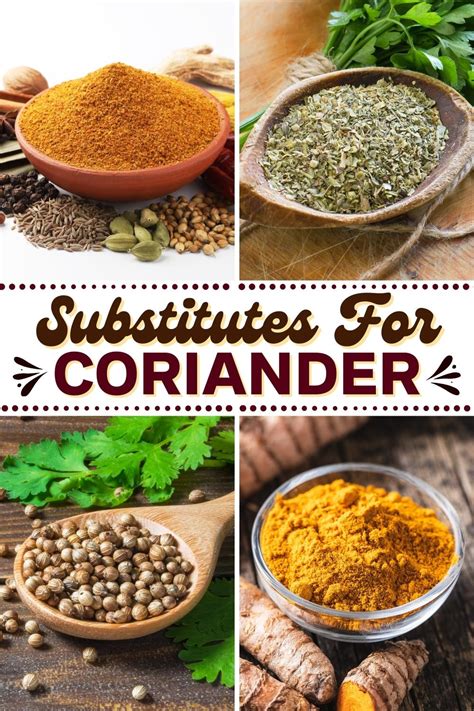 10 Best Substitutes For Coriander Insanely Good