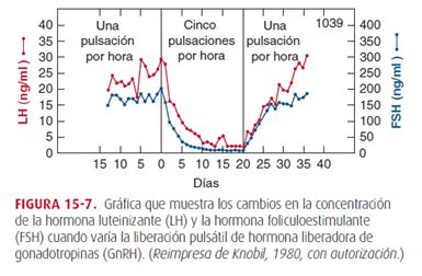 Ciclo menstrual y neuroendocrinología de la reproducción Note