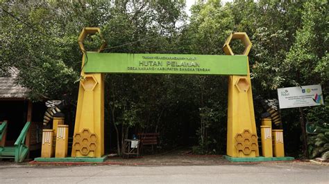 Hutan Pelawan Pulau Bangka Hutan Taman