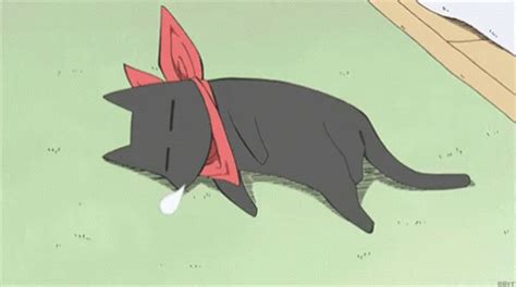 Cat Lazy GIF - Cat Lazy Anime - Discover & Share GIFs