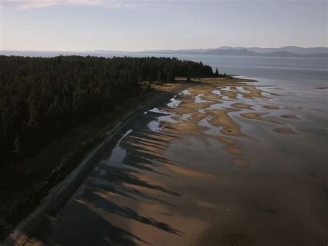 Beach Acres Resort A Guide To Rathtrevor Beach Provincial Park In