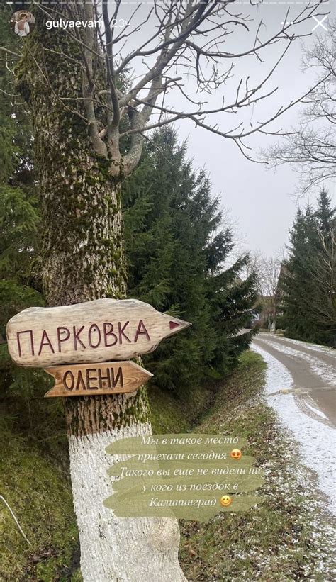 Пин от пользователя Анастасия Прокопец на доске Путешествия в 2024 г ...