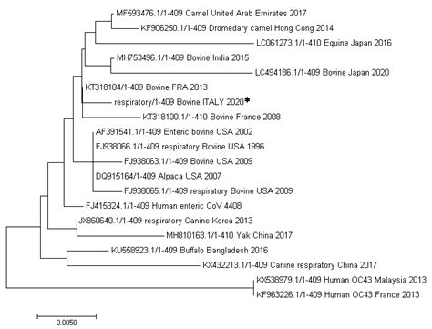 Phylogenetic Analysis Of A Part Of The Rdrp Gene 409 Bp The