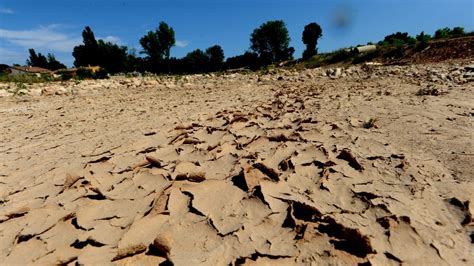 Stress Hydrique Ce Que Propose L IRES Pour Une Refonte Globale De La