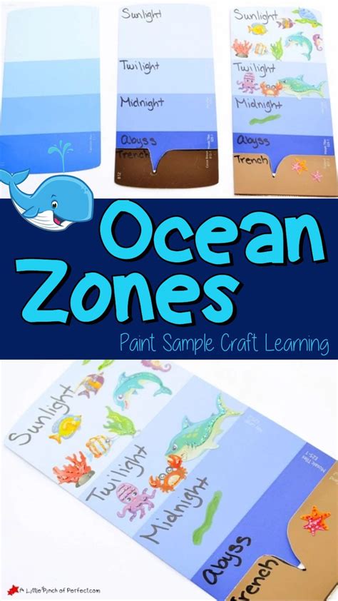 Learning About The Layers Of The Ocean Craft For Kids A Little Pinch