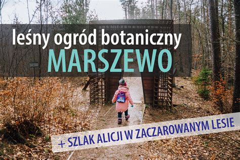 Le Ny Ogr D Botaniczny Marszewo W Gdyni Godziny Otwarcia Atrakcje