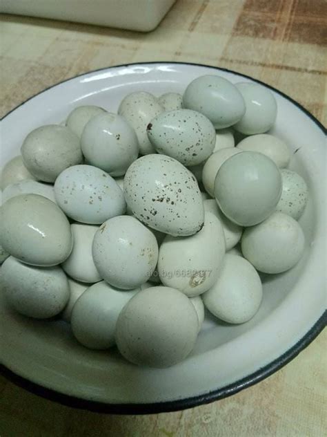 пъдпъдъчи яйца 0, 25 | Селскостопански продукти | Бургас Домашни пресни ...