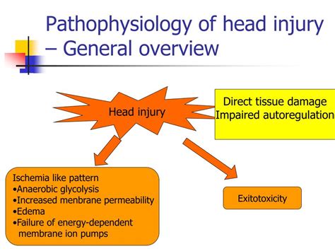 PPT - Head Injury PowerPoint Presentation, free download - ID:1451492