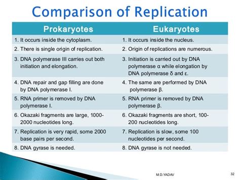 Dna Replication In Prokaryotes And Eukaryotes