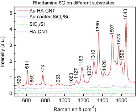 Raman Spectra Of Rhodamine G Molecules On Different Substrates