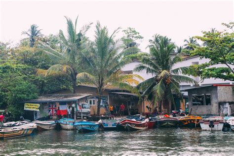 A Journey Through The Madu Ganga River Sri Lanka Hand Luggage Only