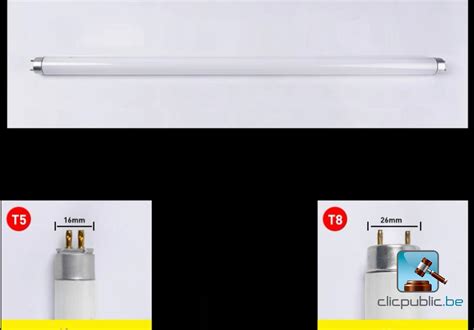 Lot de lampes T5 - Clicpublic.be, les ventes publiques en 1 clic.