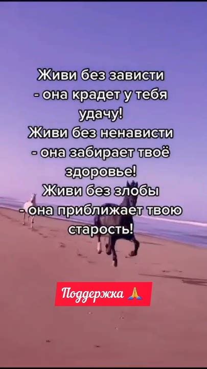 Мудрость жизни мудрость цитата жизнь подписывайтесь поддержите наш канал 🙏 Youtube