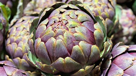 14 Artichoke Varieties You Might Not Be Familiar With