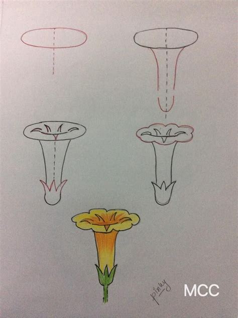 19 Adım Adım Kolay Çiçek Çizme Mimuu Flower drawing tutorials