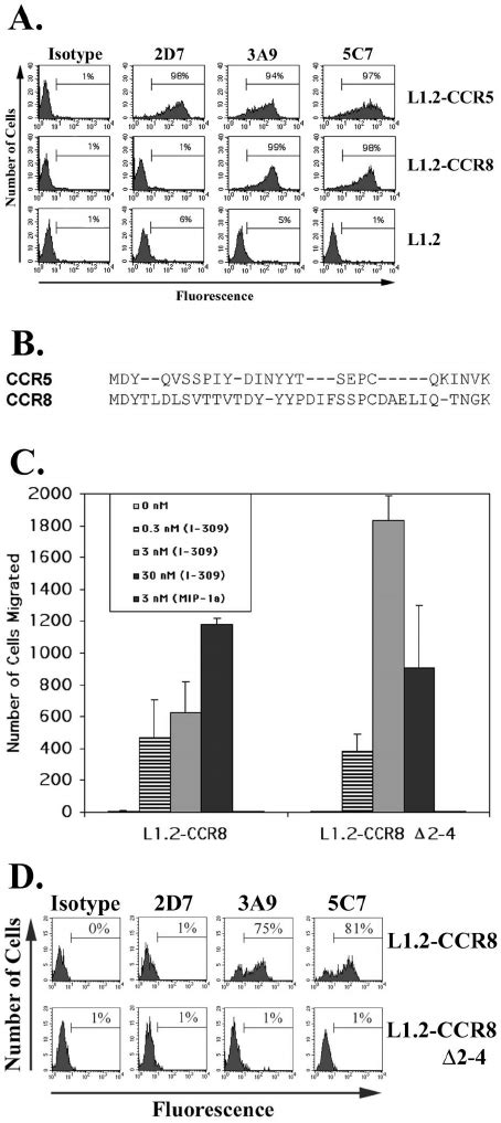 Cross Reaction Of Mab A And C With Ccr A L Cells And L