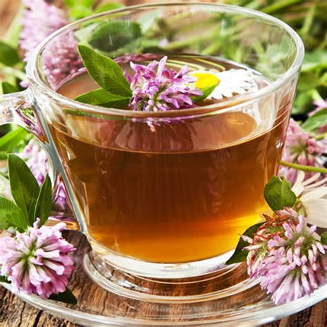 Red Clover Tea Fragrance Oil Buy Wholesale From Bulk Apothecary