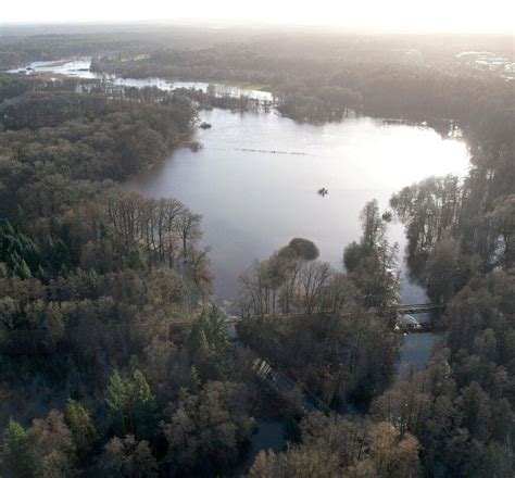 Mittleres Hochwasser Impressionen von Hajo Boldt Lüneburg Aktuell