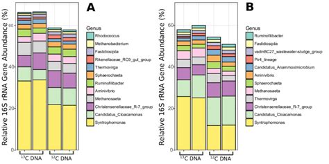 Relative S Rrna Gene Amplicon Sequence Abundance Of The Top Most