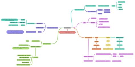 Magistratura Coggle Diagram