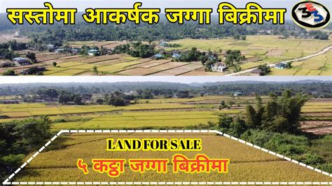 Sasto Dhan Khet Bikrima Agriculture Land For Sale Urgent Land On